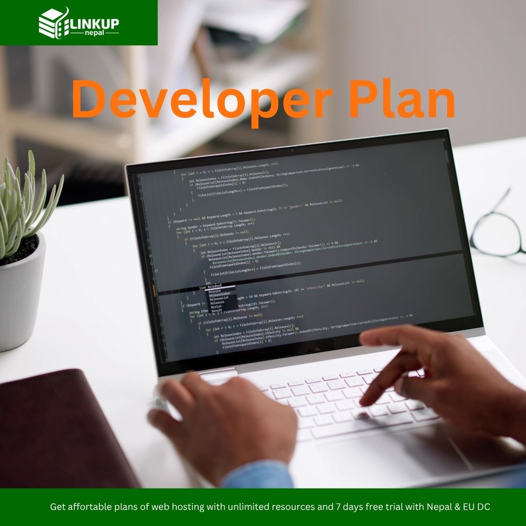 developer plan
